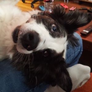 All Offers Considered